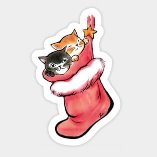 Xmas cats in socks Sticker